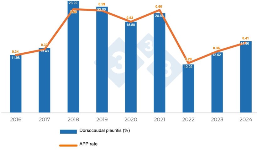 Graph&nbsp;2. Evolution of lesions consistent with&nbsp;Actinobacillus pleuropneumoniae.
